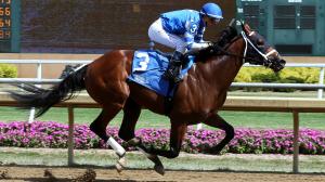 Lightline, Withers Stakes, Aqueduct, Coady Photography
